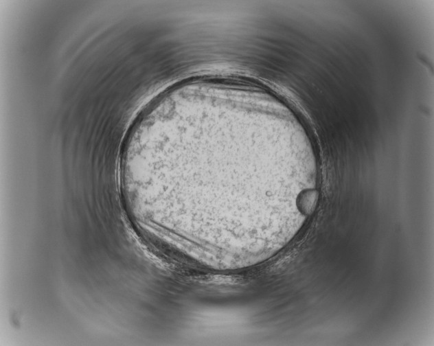 X0000099540839200806131147