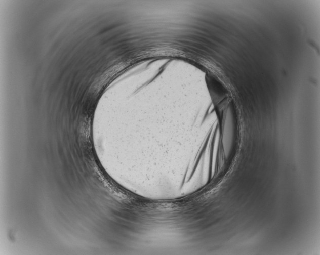 X0000099540841200806131147