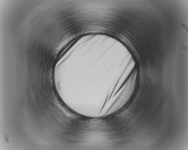 X0000099540842200806131147