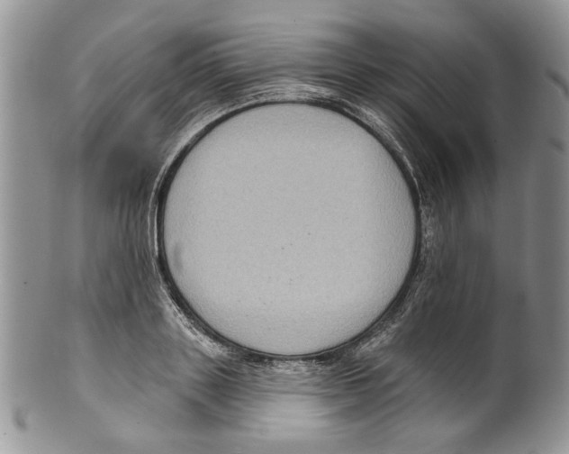 X0000099540843200806131147