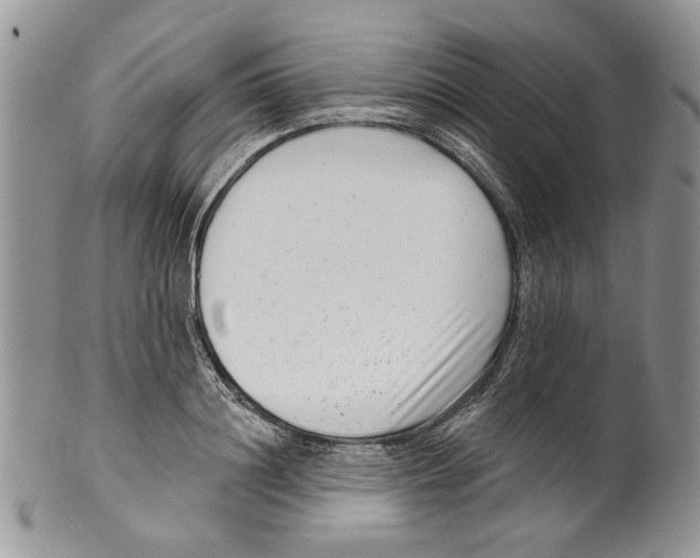 X0000099540844200806131147