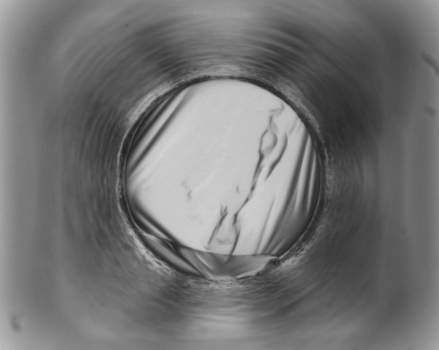 X0000099540845200806131147