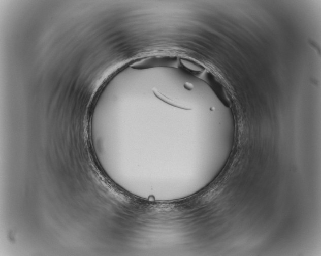 X0000099540846200806131147