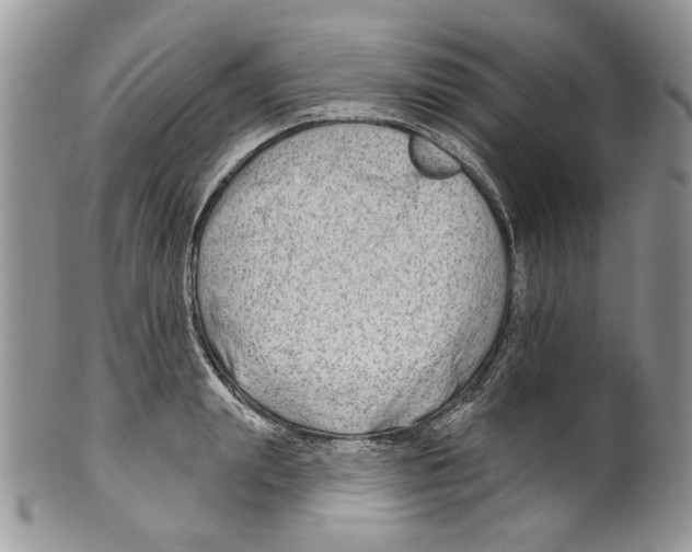 X0000099540847200806131147