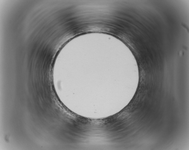 X0000099540848200806131147