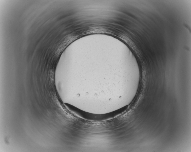 X0000099540849200806131147