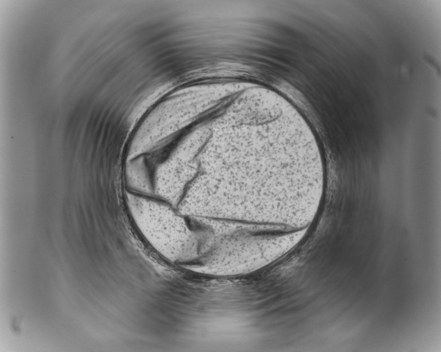 X0000099540850200806131147