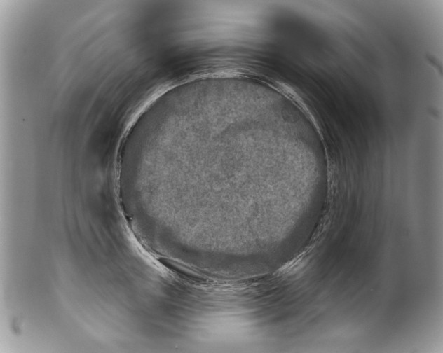 X0000099540851200806131147