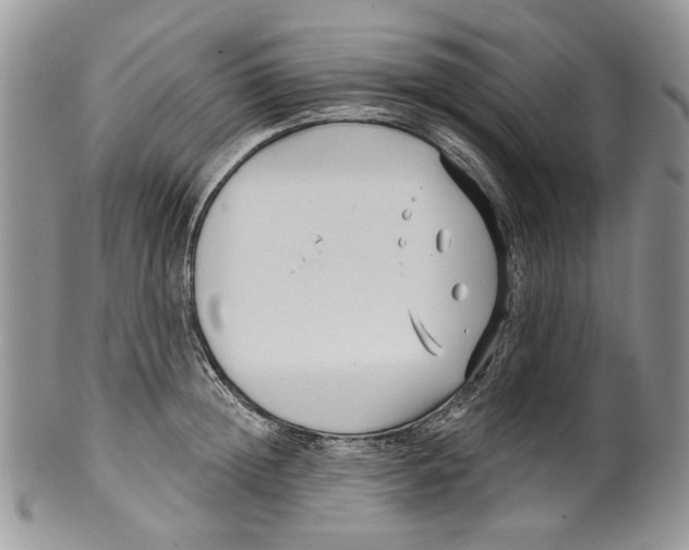 X0000099540852200806131147