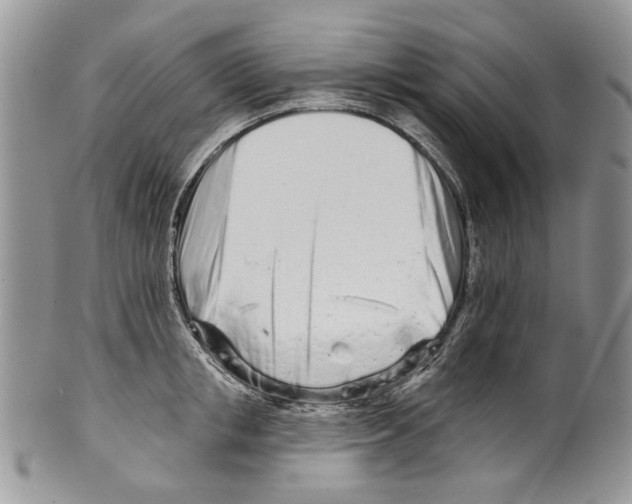 X0000099540853200806131147