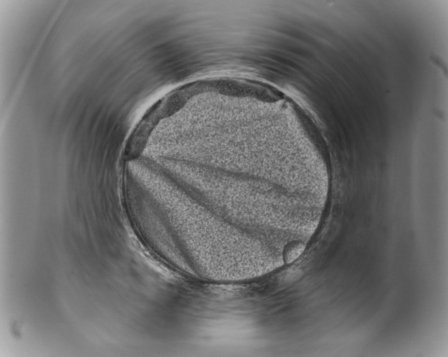 X0000099540854200806131147