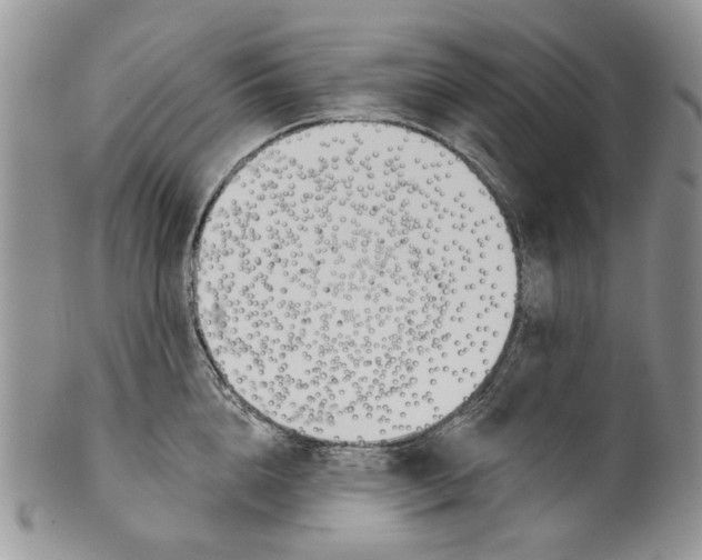 X0000099540856200806131147