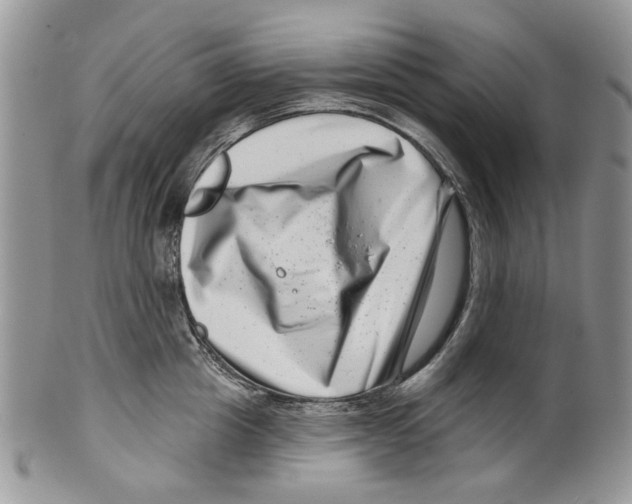 X0000099540857200806131147