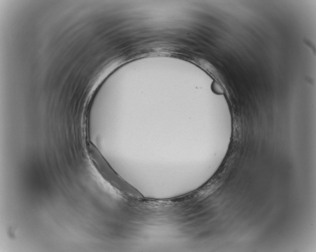 X0000099540859200806131147