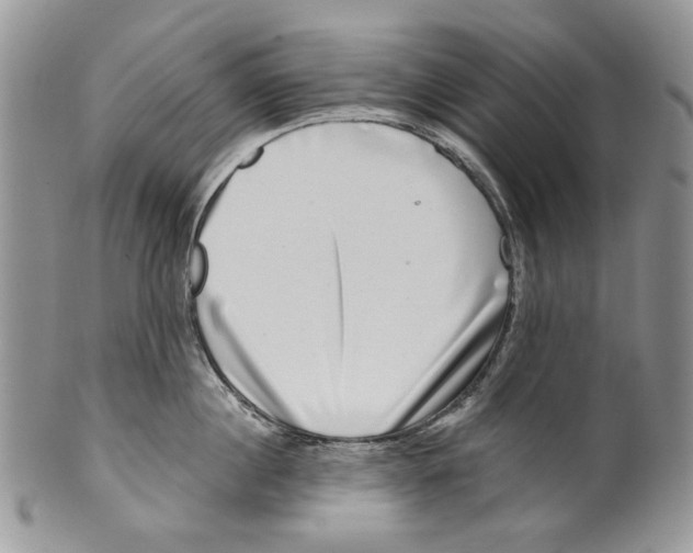 X0000099540860200806131147