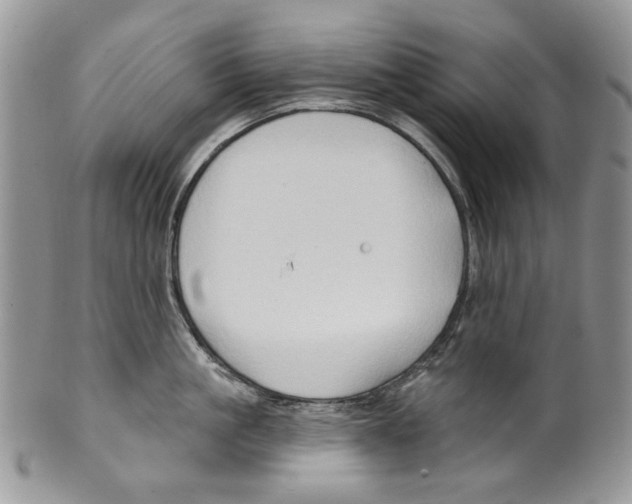 X0000099540861200806131147