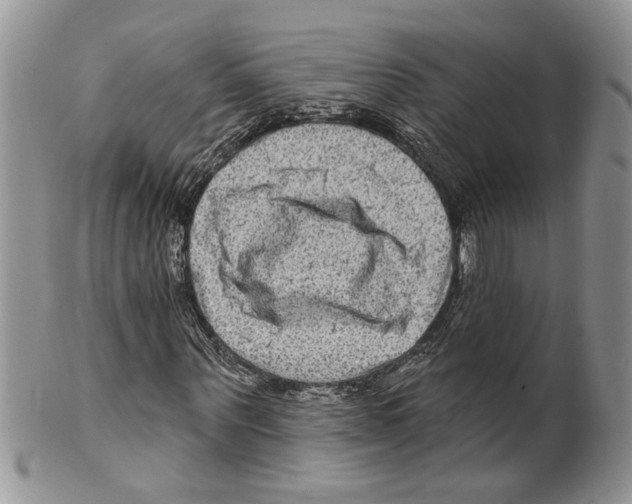 X0000099540867200806131147