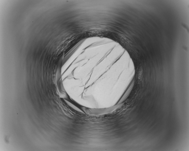 X0000099540868200806131147