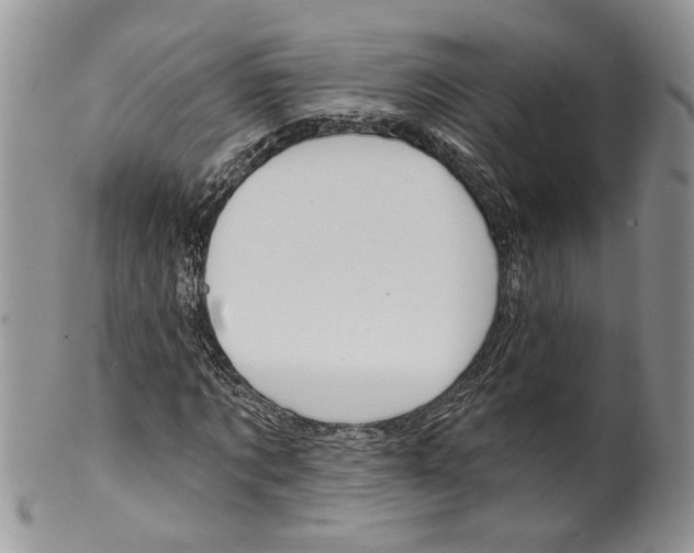 X0000099540869200806131147