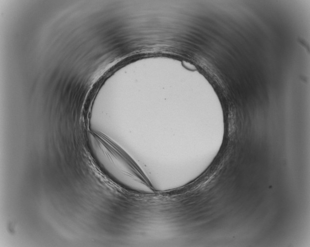 X0000099540876200806131147