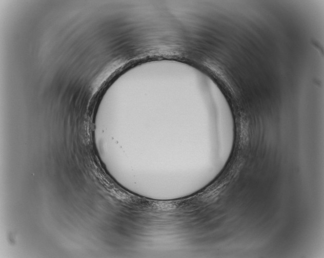 X0000099540878200806131147