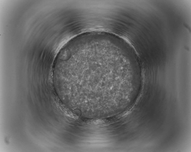 X0000099540879200806131147