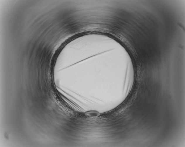 X0000099540880200806131147