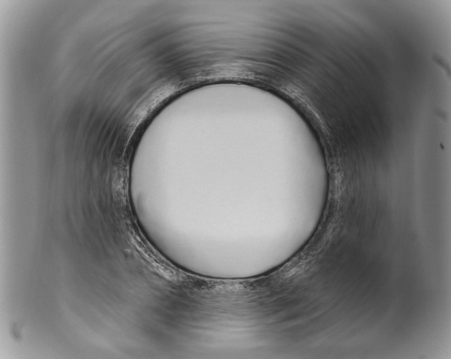 X0000099540882200806131146