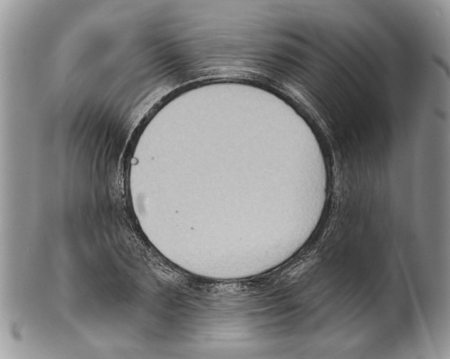 X0000099540883200806131146