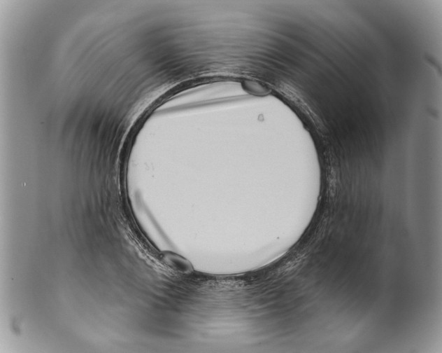 X0000099540884200806131146