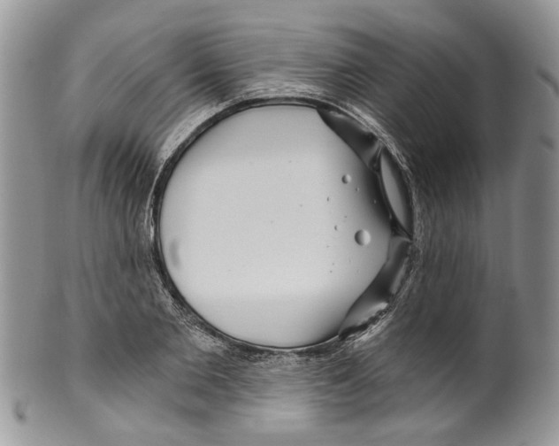 X0000099540885200806131146