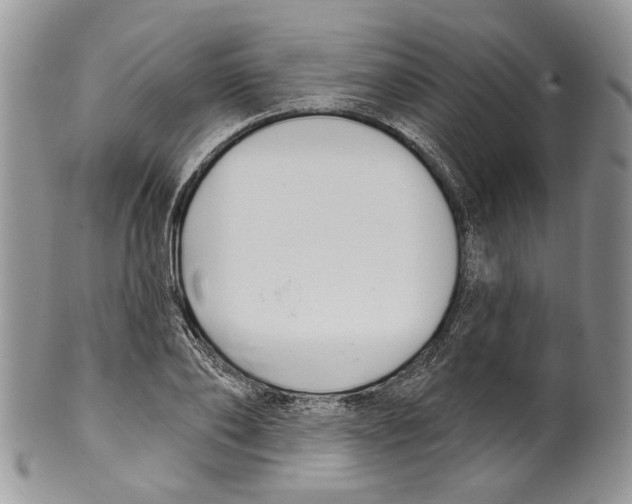 X0000099540886200806131146