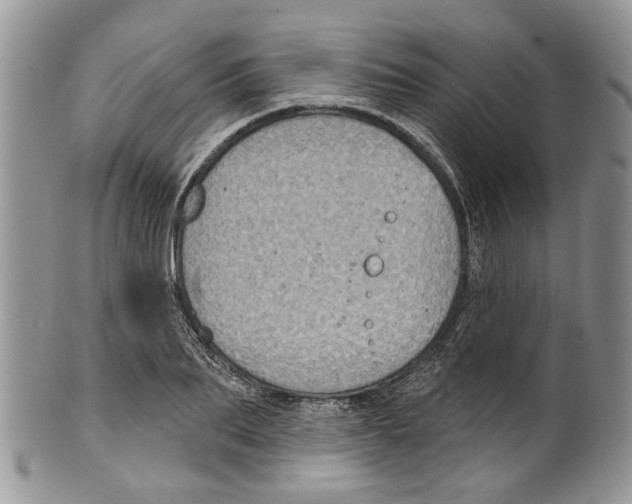 X0000099540887200806131146