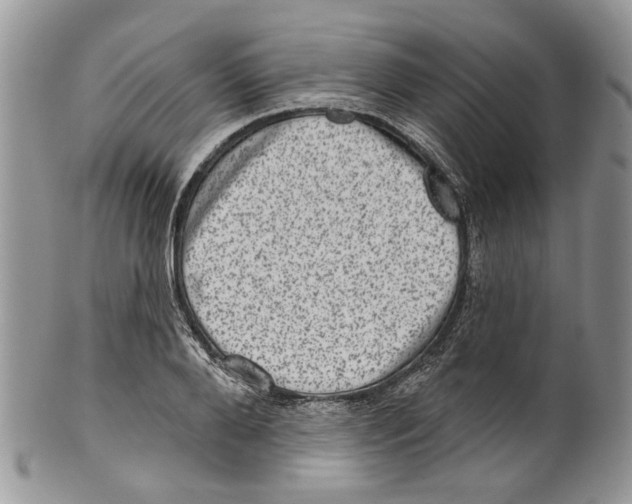 X0000099540888200806131146