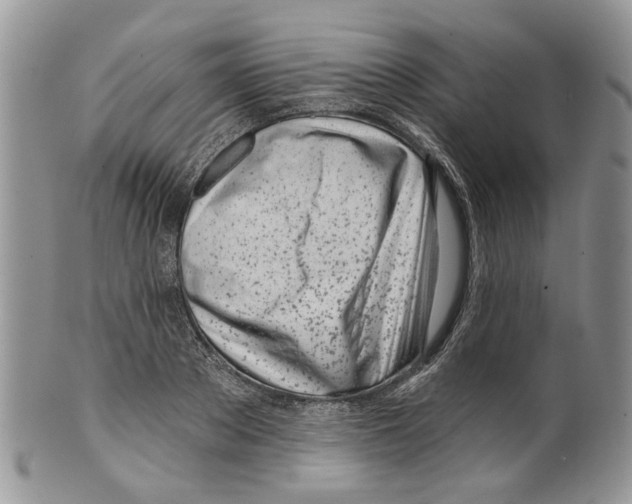 X0000099540889200806131146