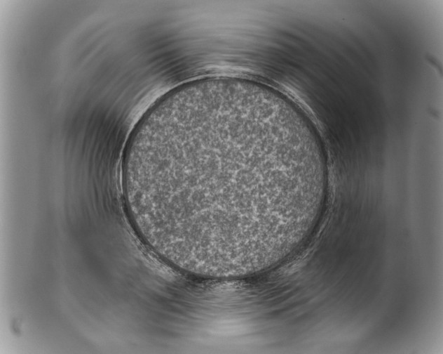 X0000099540891200806131146