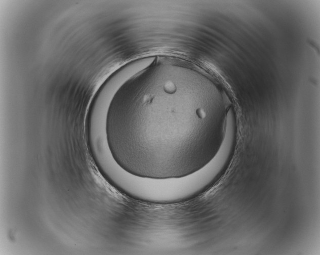 X0000099540892200806131146