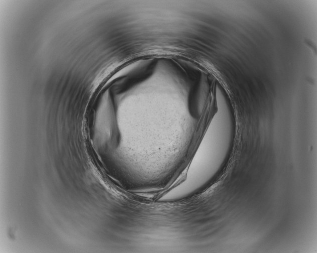 X0000099540893200806131146