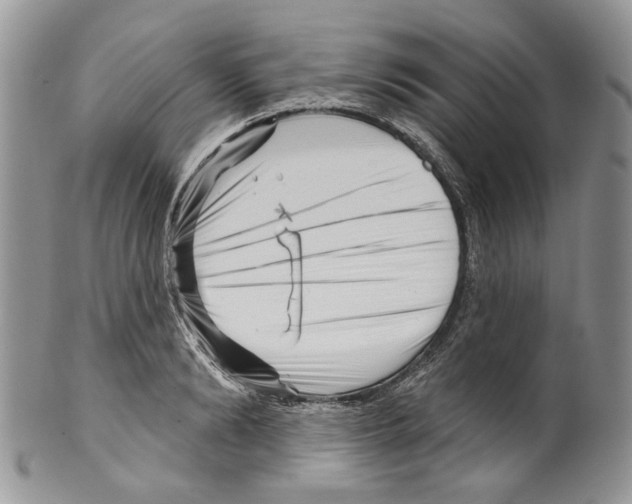 X0000099540894200806131146