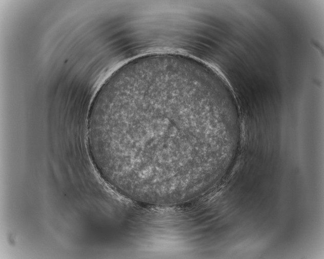 X0000099540895200806131146