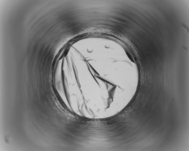 X0000099540896200806131146