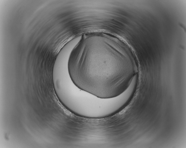 X0000099540897200806131146