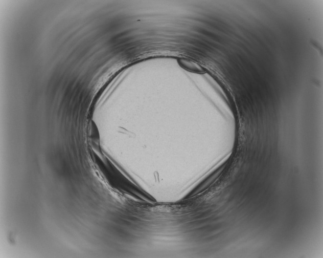 X0000099540898200806131146