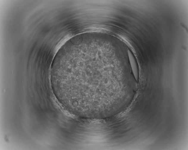 X0000099540899200806131146