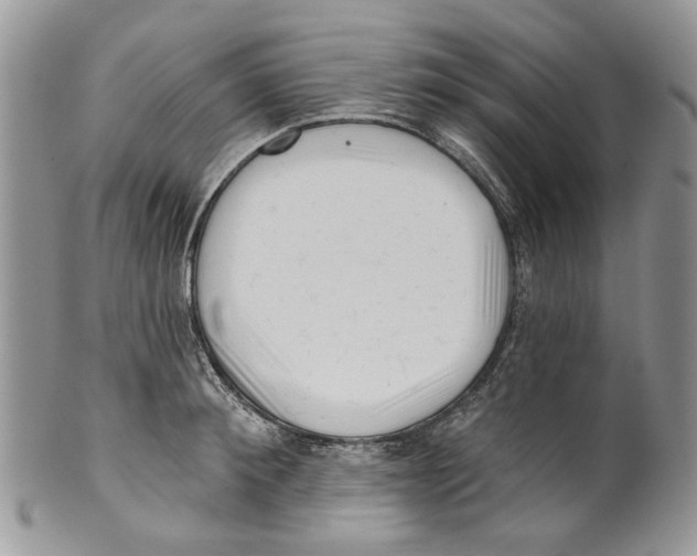 X0000099540900200806131146