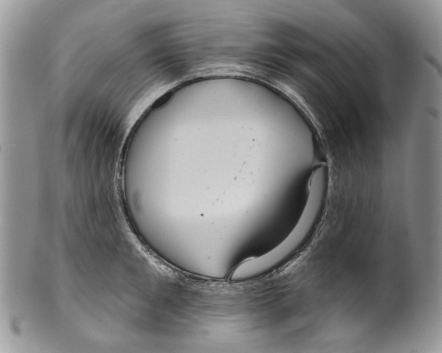 X0000099540901200806131146