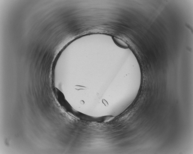 X0000099540902200806131146