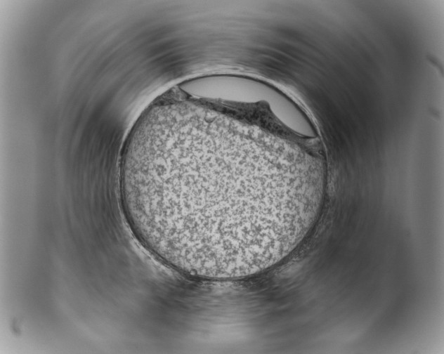 X0000099540903200806131146