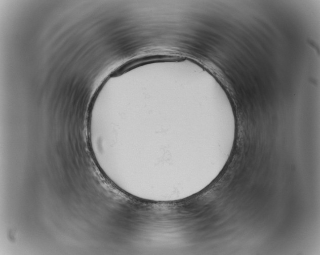 X0000099540904200806131146