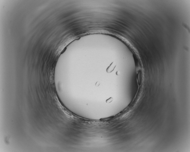 X0000099540905200806131146